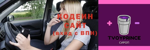 гашик Бабаево