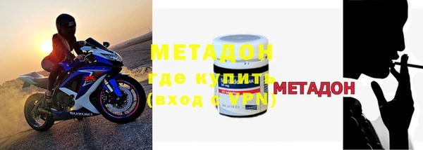 прущие грибы Надым
