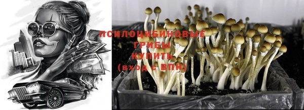 молекула духа Нея