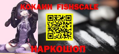 шишки Аргун