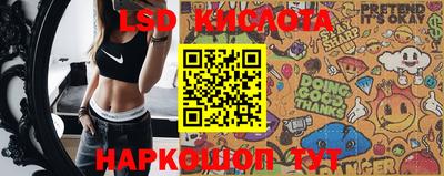 шишки Аргун