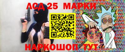 шишки Аргун