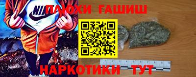шишки Аргун