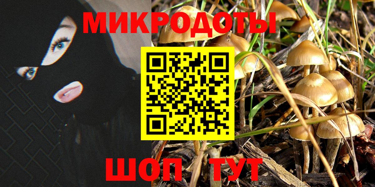 Псилоцибиновые грибы GOLDEN TEACHER  купить наркотик  Апрелевка  Галлюциногенные грибы MAGIC MUSHROOMS 
