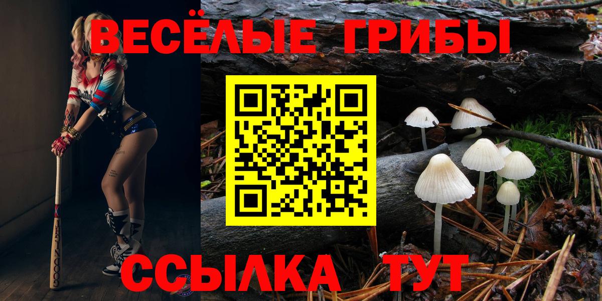 Псилоцибиновые грибы GOLDEN TEACHER Апрелевка