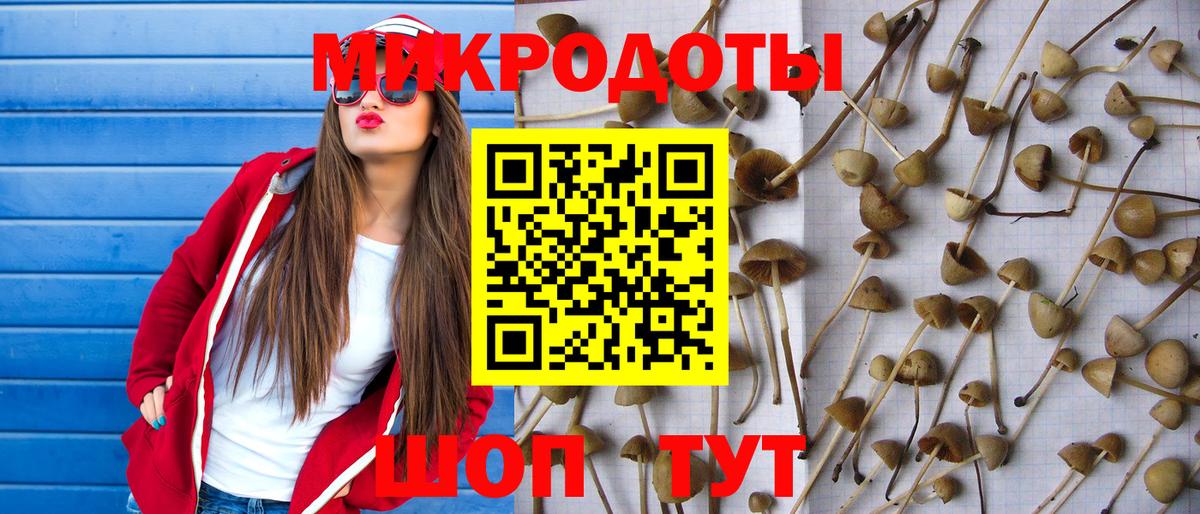Апрелевка  Галлюциногенные грибы Cubensis  Вход с VPN 